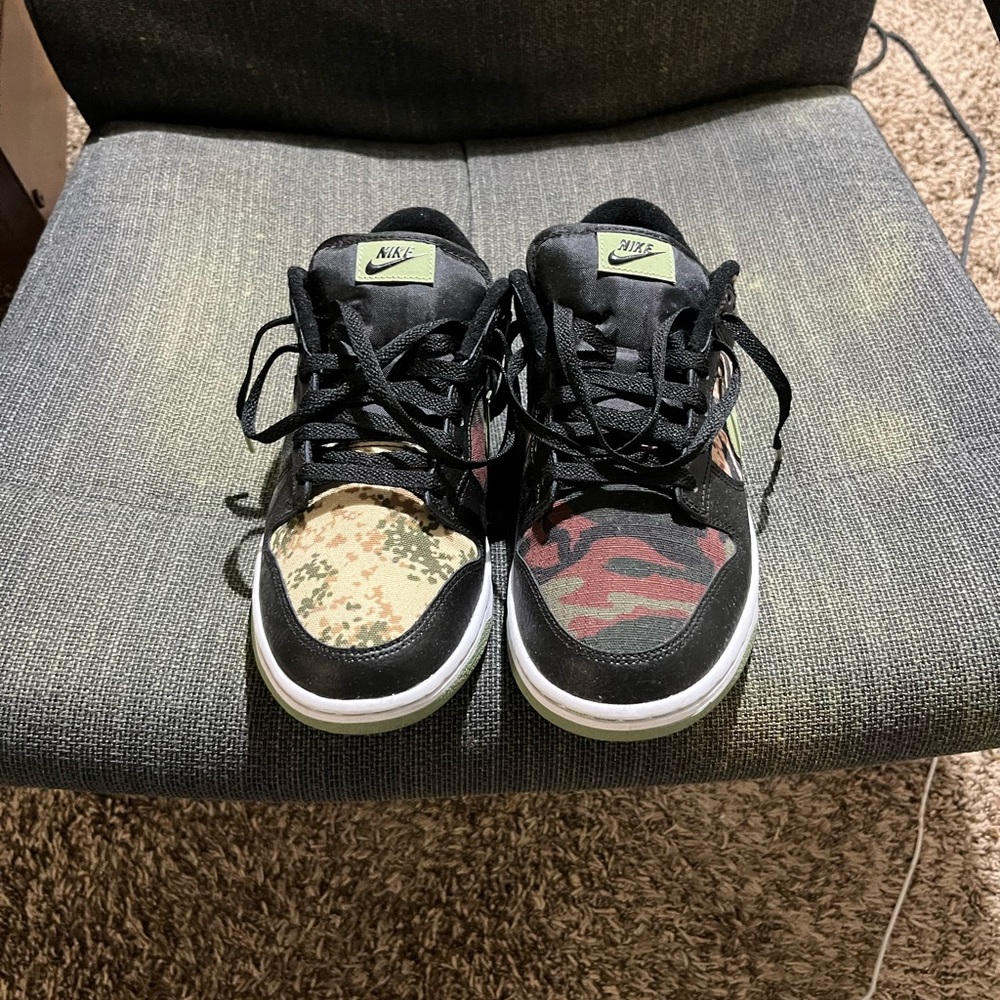 Size 10.5 Nike Dunk Low.